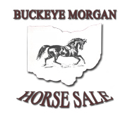 Buckeye Logo